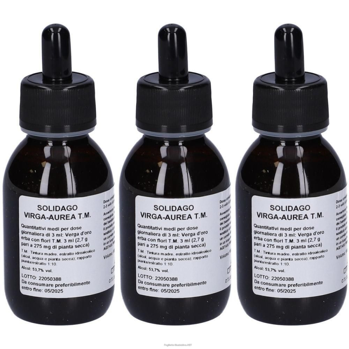 Cerca Offerte di solidago virga a tm gocce100ml 3x100 ml gocce orali e acquista online