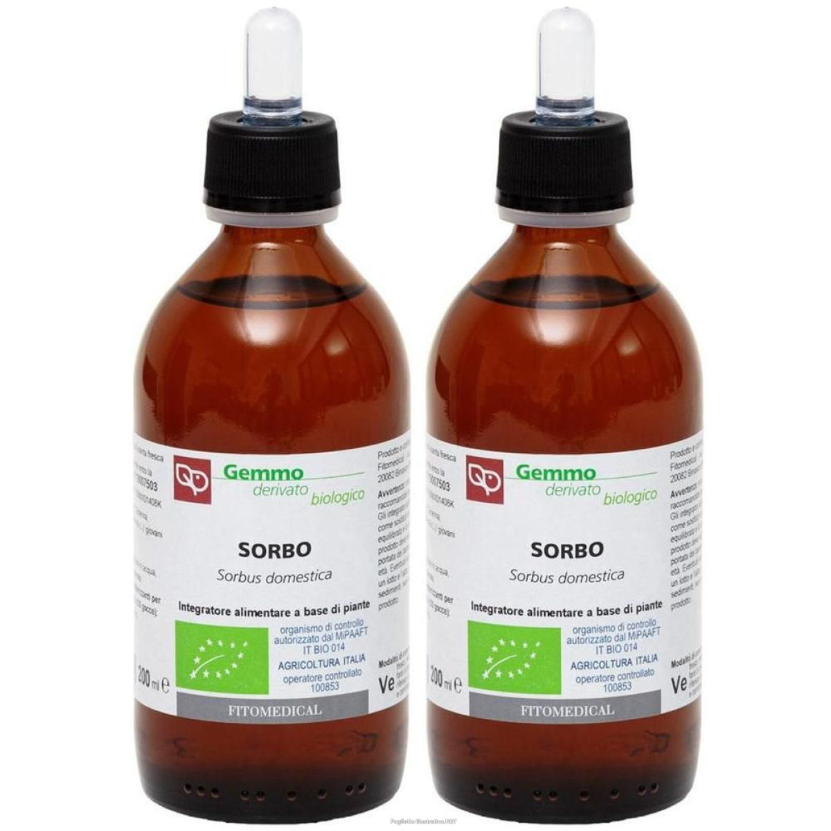 Cerca Offerte di Sorbo Macerato Glicerico 200 ml Bio 2x200 ml Gocce Orali e acquista online