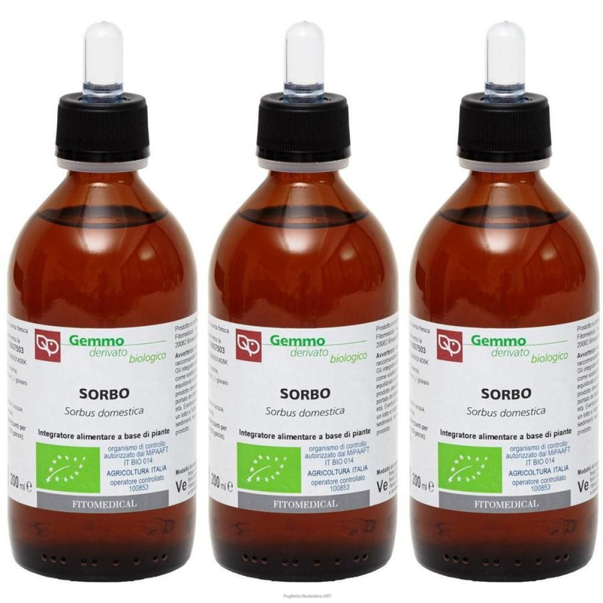 Cerca Offerte di Sorbo Macerato Glicerico 200 ml Bio 3x200 ml Gocce Orali e acquista online