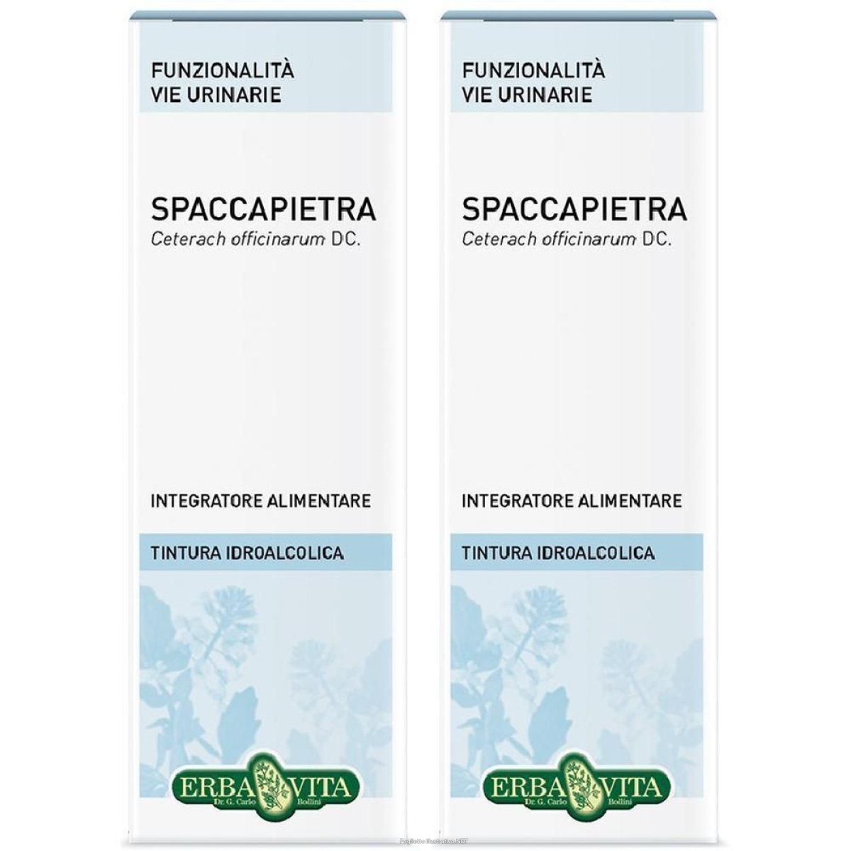 Cerca Offerte di spaccapietra tint ial 50ml ebv 2x50 ml gocce orali e acquista online