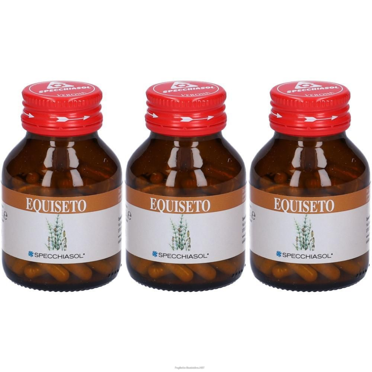 Cerca Offerte di specchiasol equiseto capsule 3x80 pz e acquista online