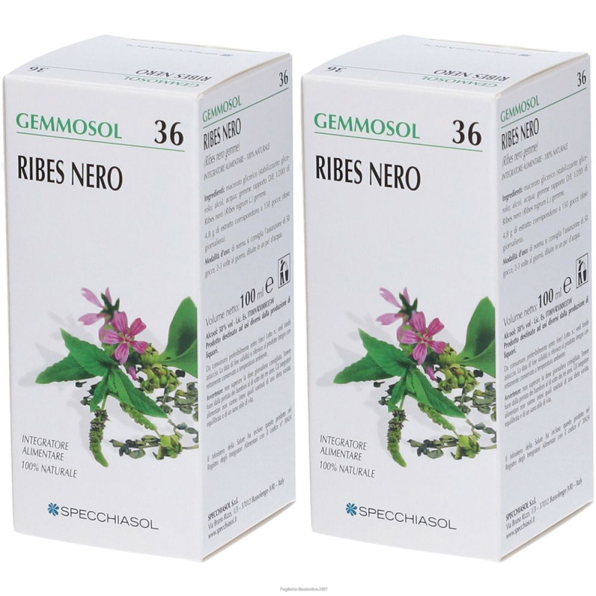 Cerca Offerte di specchiasol gemmosol ribes nero set da 2 2x100 ml liquido e acquista online