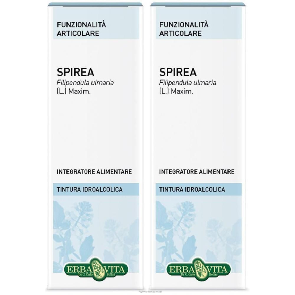 Cerca Offerte di spirea ulmaria tintura idroalcolica ebv 50 ml e acquista online