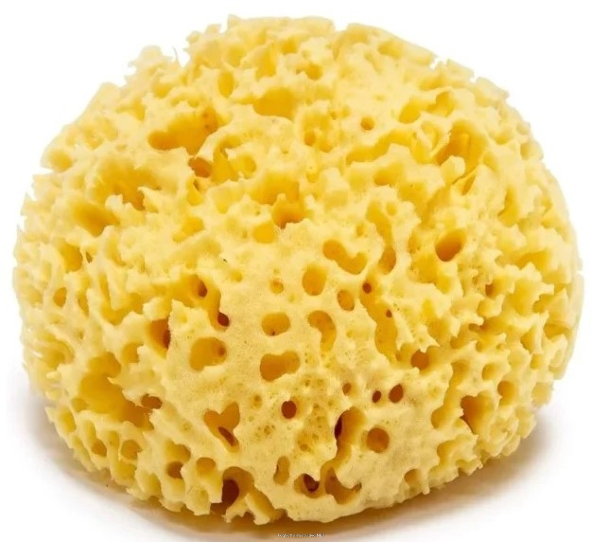 Cerca Offerte di spugna mare naturale arcipelago 8 cm e acquista online