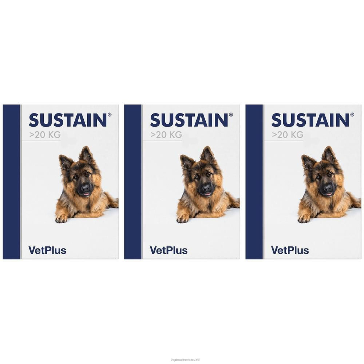 Cerca Offerte di Sustain Large Breed Bustine 3x30 Pezzi Bustina e acquista online