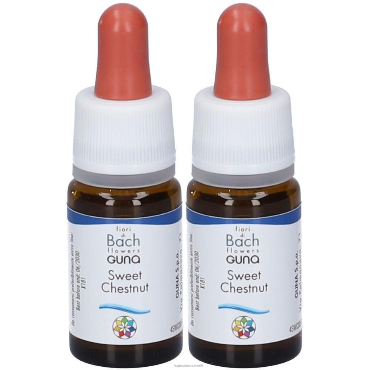 Cerca Offerte di sweet chestnut guna gocce 10 ml 2x10 ml orali e acquista online