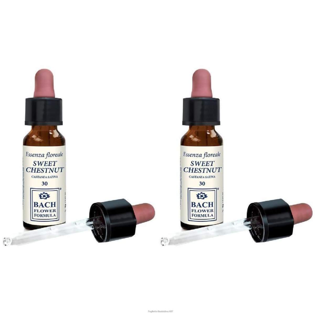 Cerca Offerte di sweet chestnut original 10 ml gocce orali e acquista online