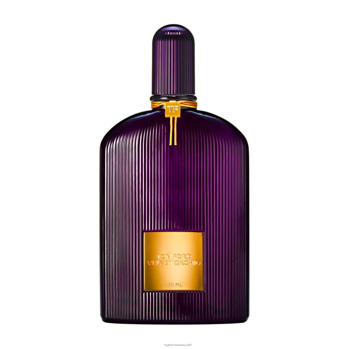 Trova Offerte di tom ford - velvet orchid - eau de parfum donna 100 ml vapo e compra online