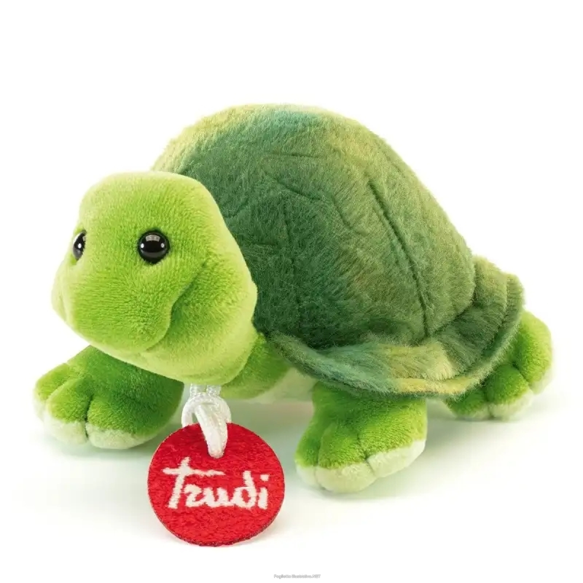 Trova Offerte di trudino tartaruga e compra online