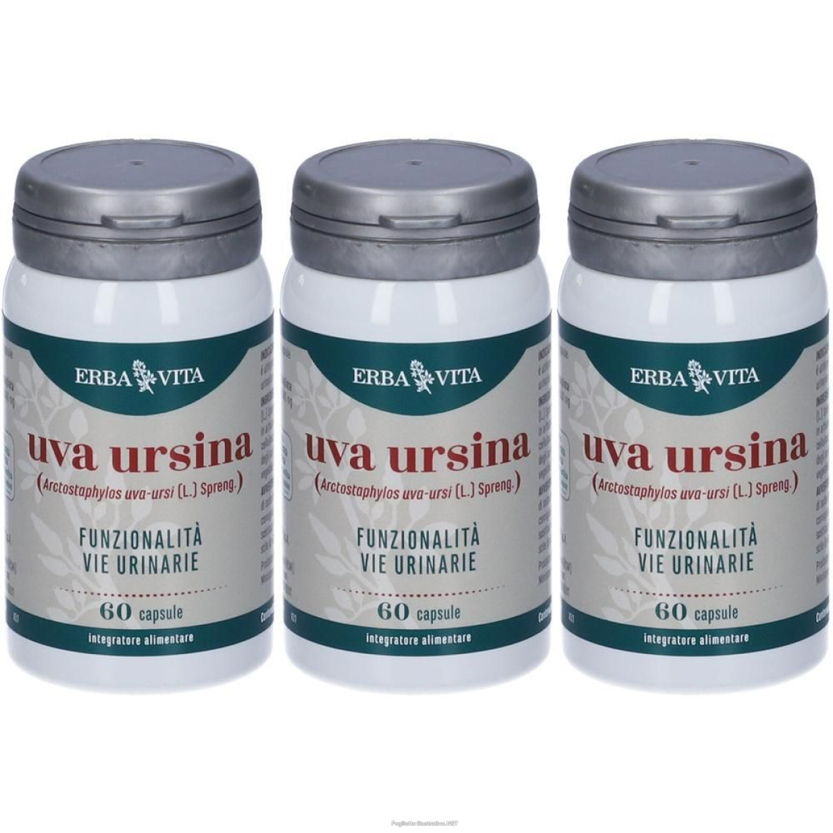 Trova Offerte di uva ursina capsule 3x60 pz e compra online