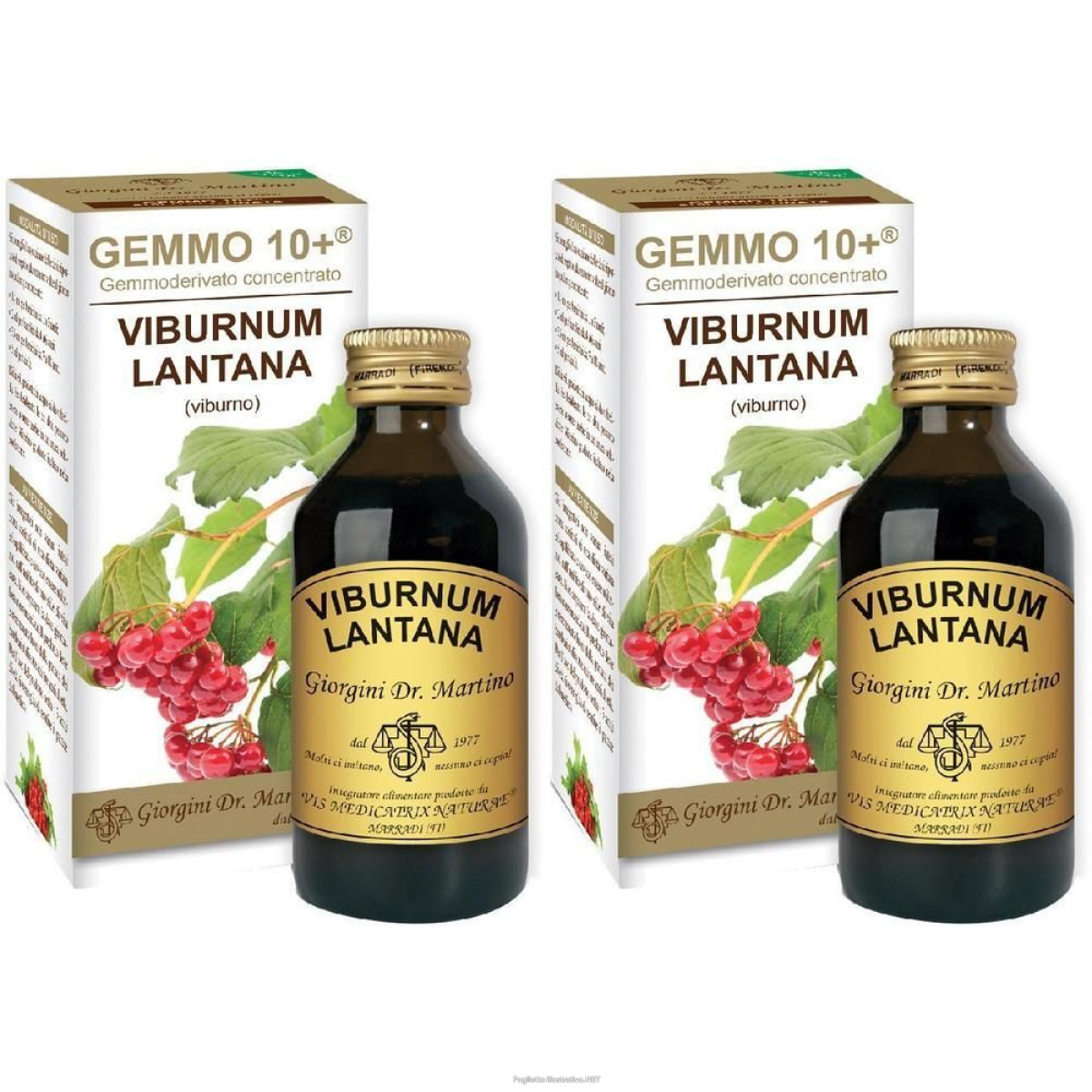 Trova Offerte di viburno liquido analcolico gemmo 10+ 100 ml 2x100 ml soluzione orale e compra online