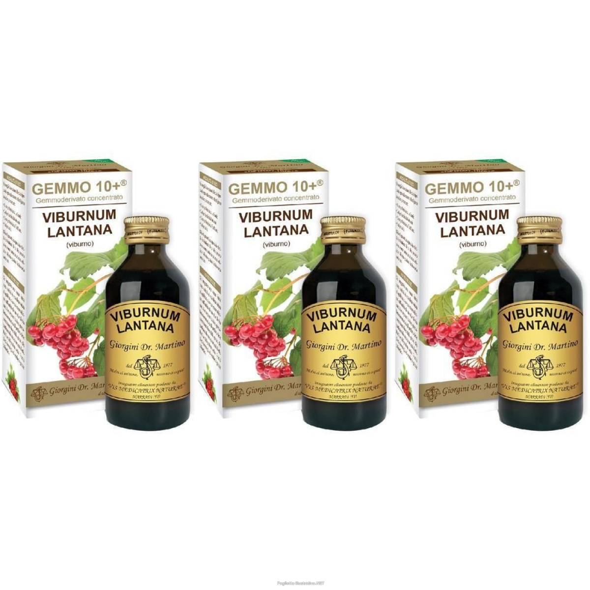 Trova Offerte di viburno liquido analcolico gemmo 10+ 100 ml 3x100 ml soluzione orale e compra online