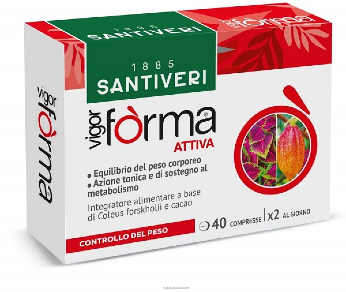 Trova Offerte di Vigor Forma Attiva 40 Compresse e compra online