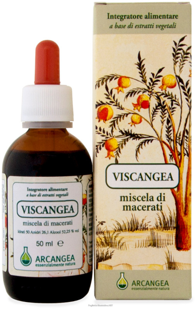 Trova Offerte di viscangea bio soluzione idroalcolica 52,25 gradi 50 ml e compra online