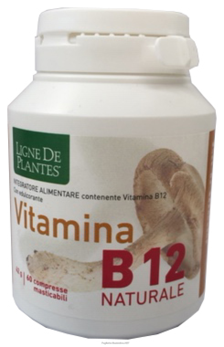 Trova Offerte di vitamina b12 60cpr masticabili e compra online