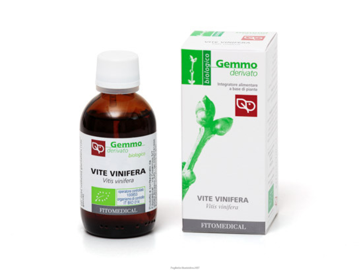 Trova Offerte di vite vinifera macerato glicerinato bio 100 ml e compra online
