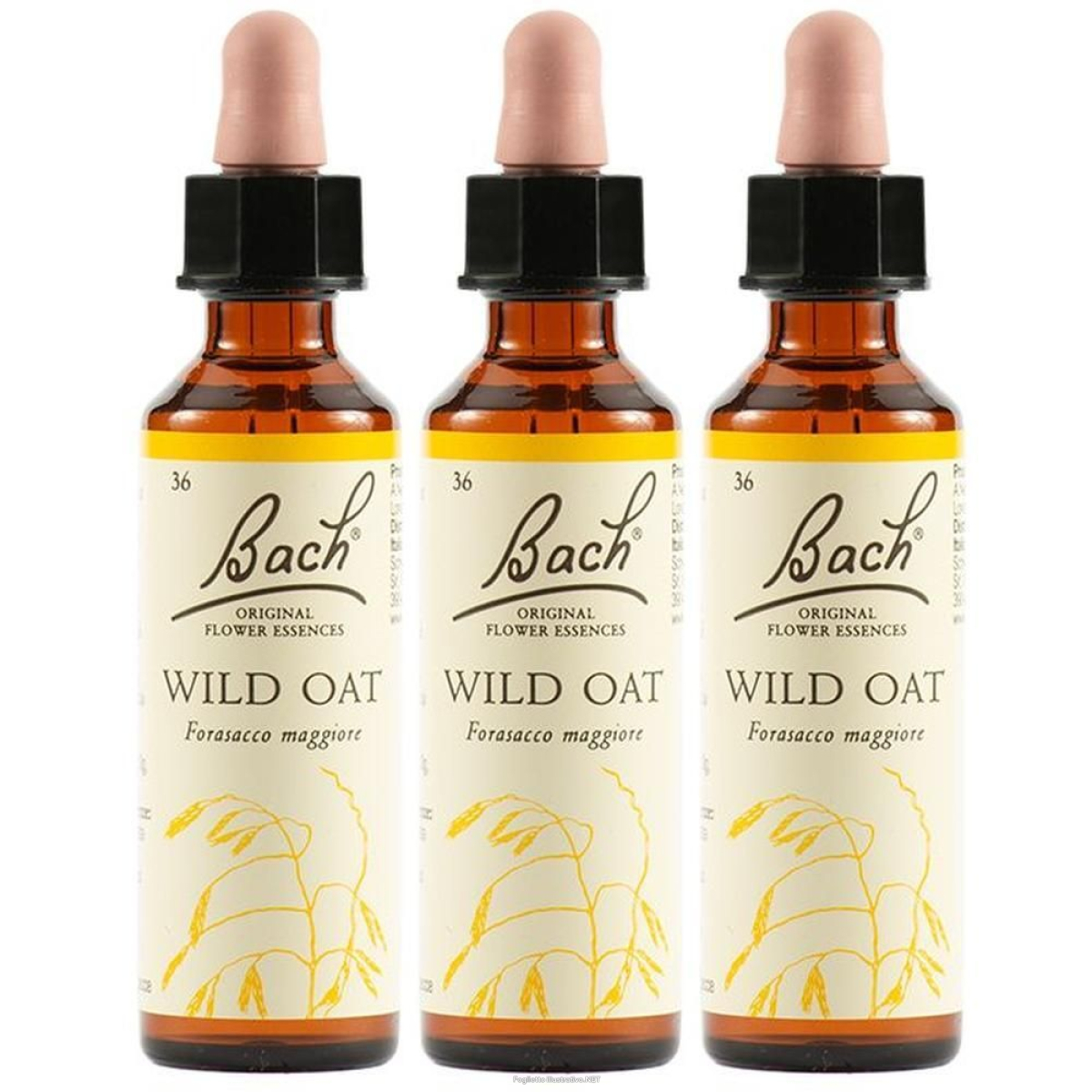 Trova Offerte di wild oat bach orig 3x20 ml gocce orali e compra online
