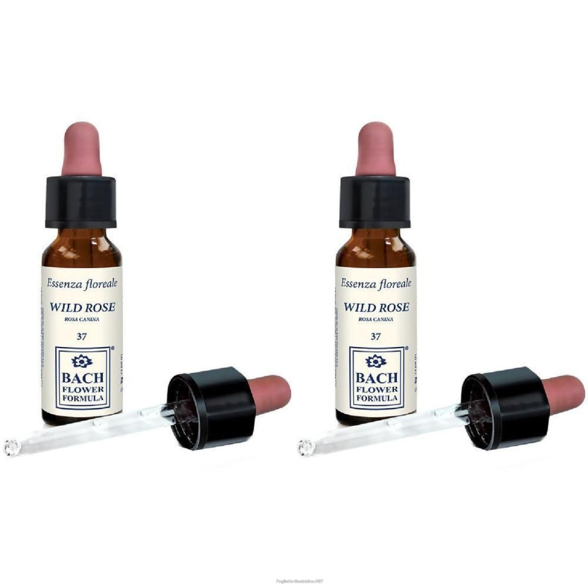 Trova Offerte di wild rose original gocce 10 ml 2x10 ml orali e compra online