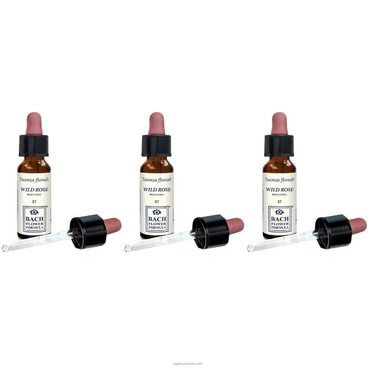 Trova Offerte di wild rose original gocce 10 ml 3x10 ml orali e compra online
