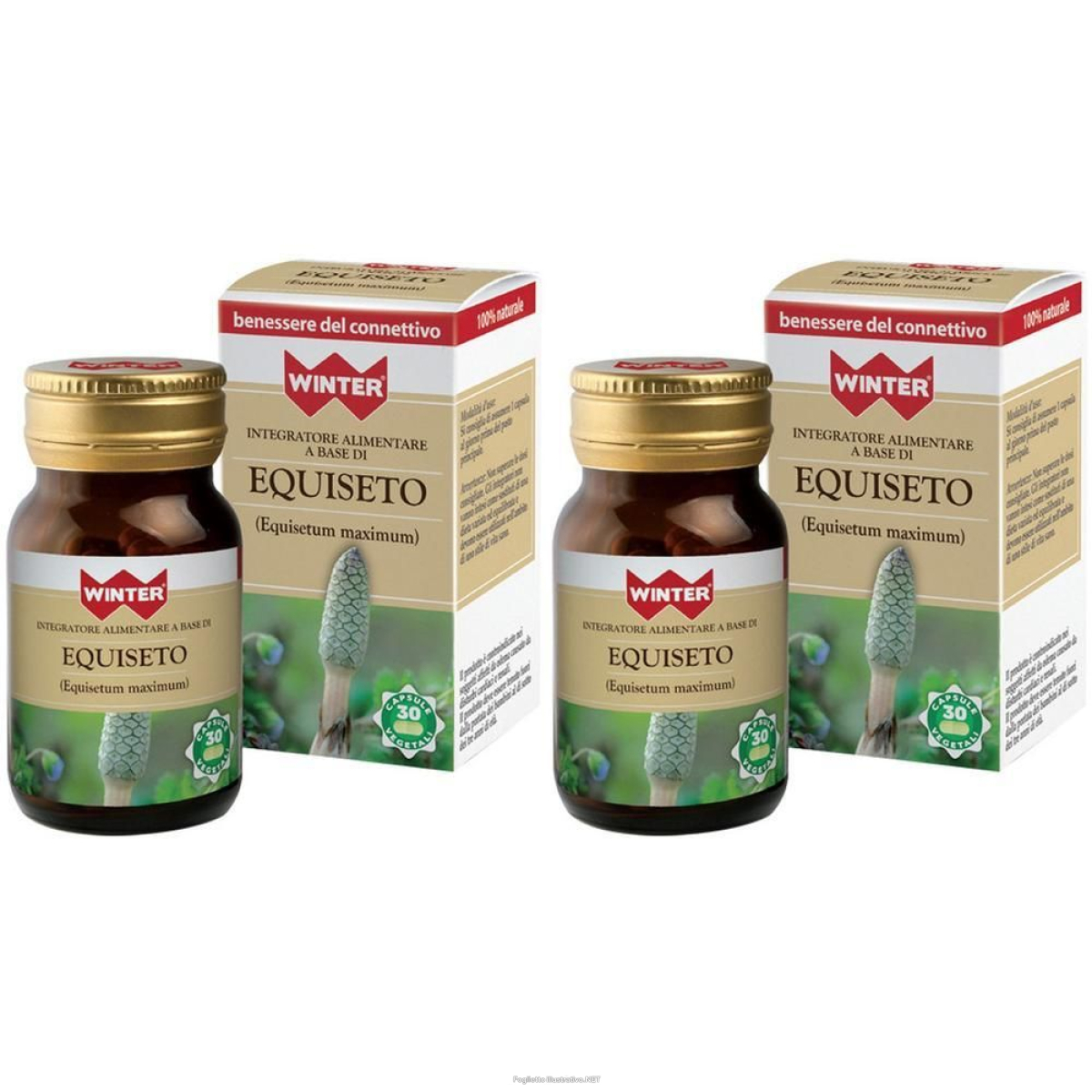 Trova Offerte di winter equiseto capsule 2x13,3 g e compra online