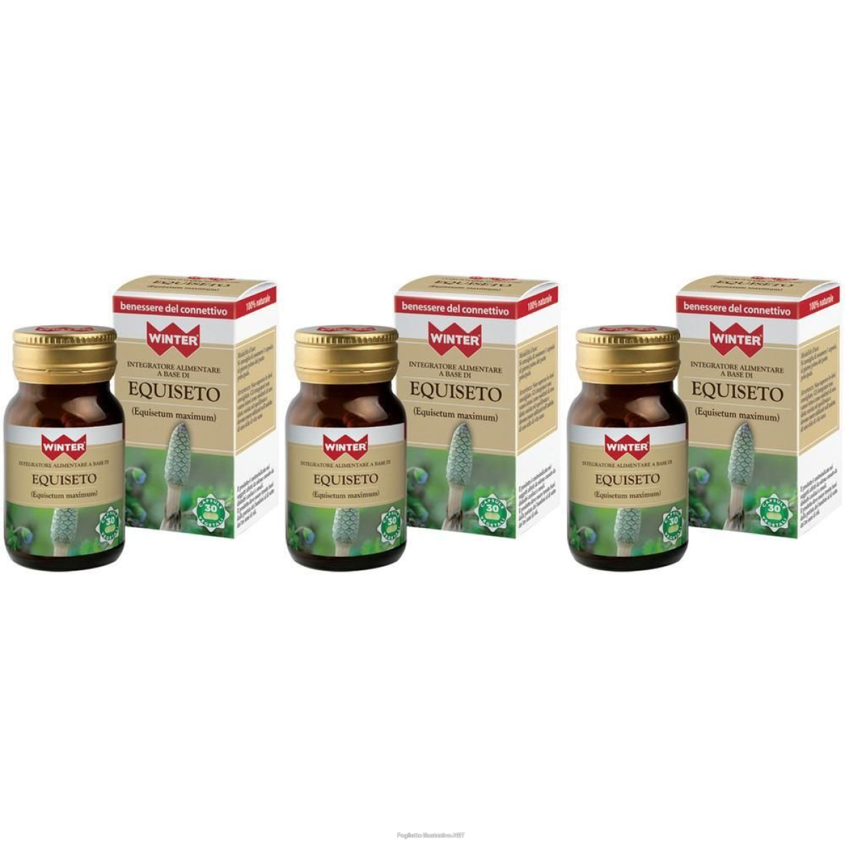 Trova Offerte di winter equiseto capsule 3x13,3 g e compra online