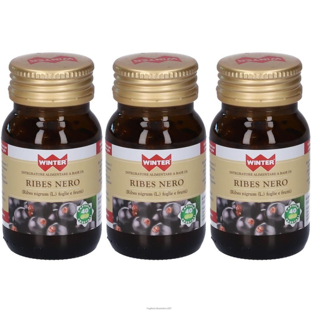 Trova Offerte di winter ribes nero capsule 19,8 g e compra online