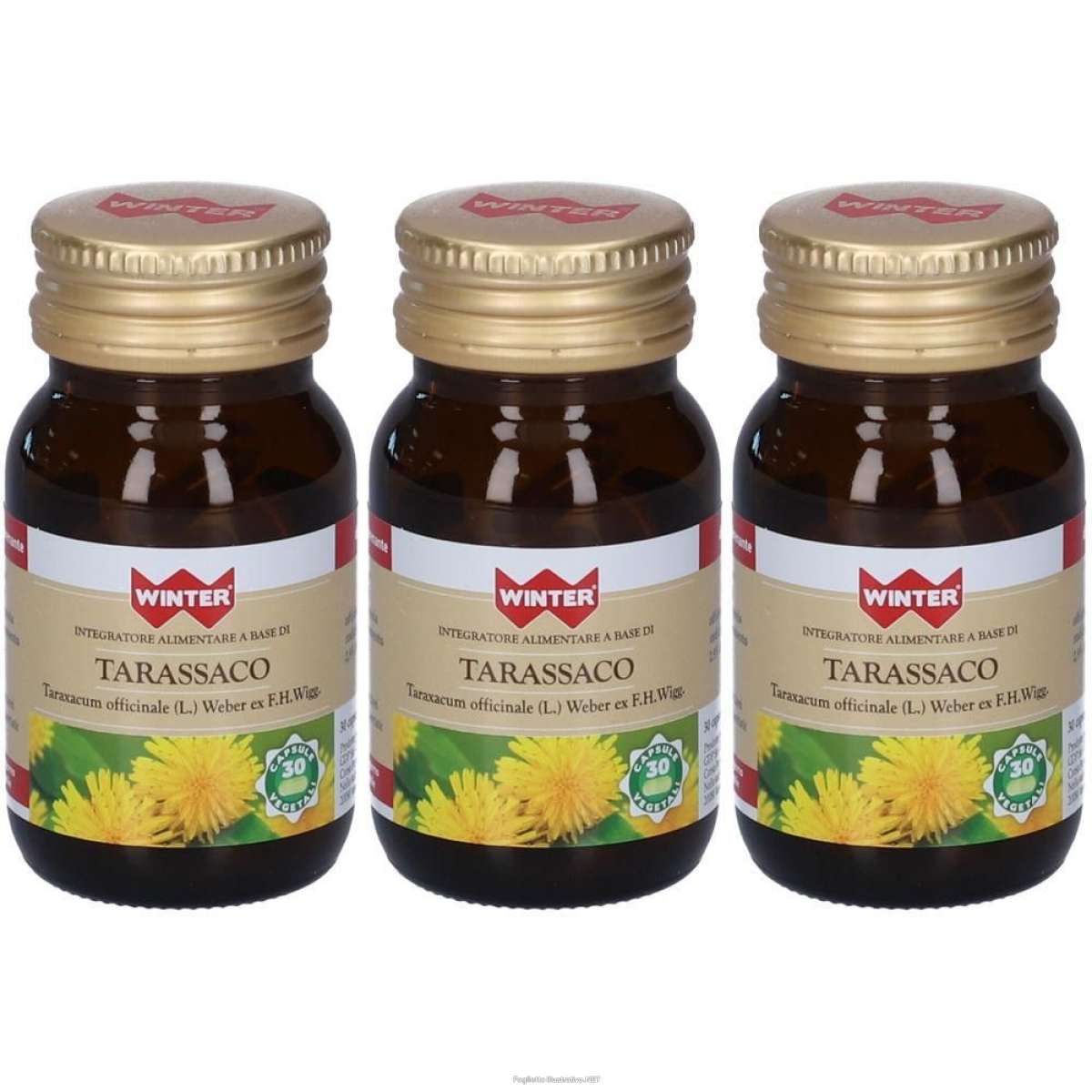 Trova Offerte di winter tarassaco capsule 3x13,3 g e compra online