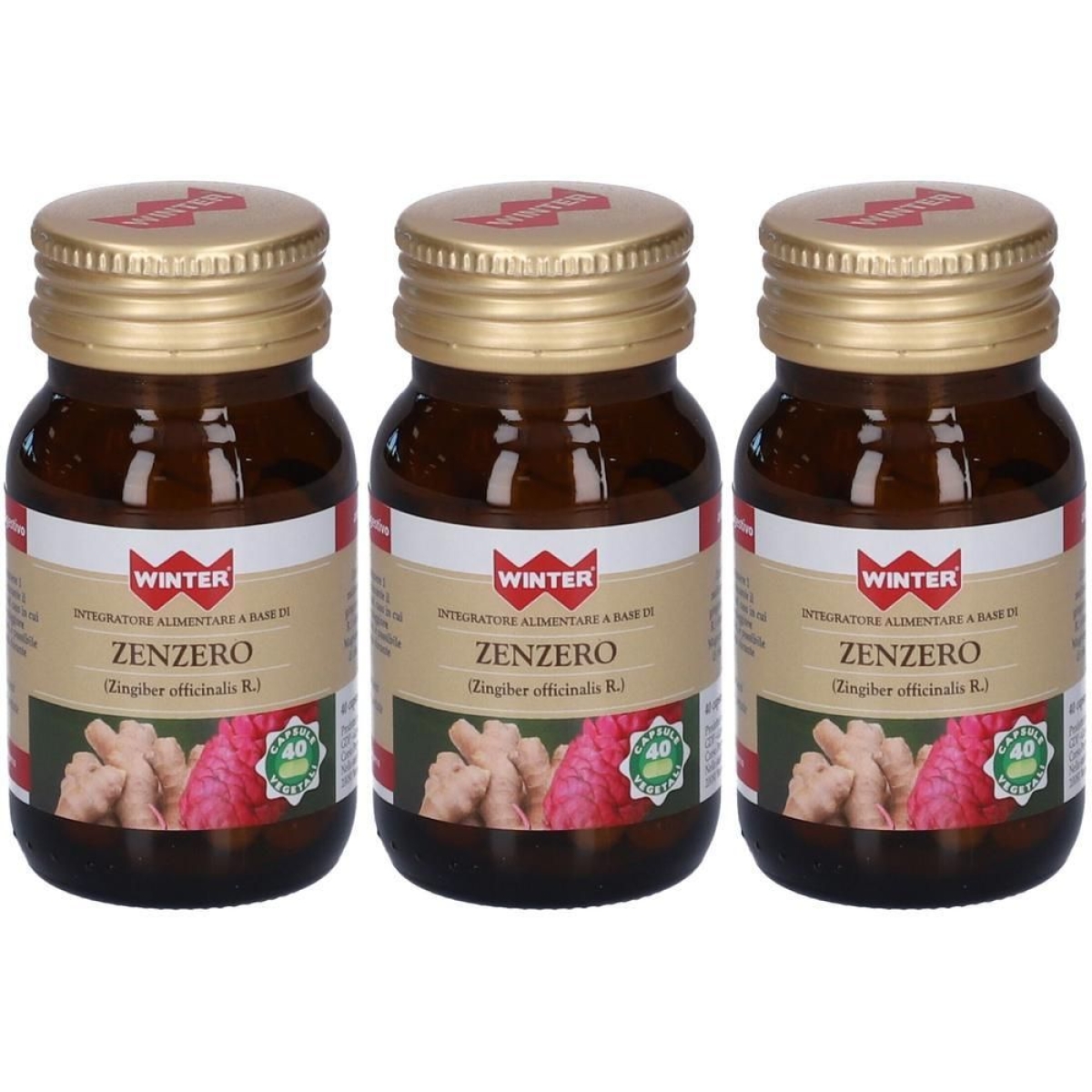 Trova Offerte di Winter zenzero capsule vegetali 3x14,8 g e compra online