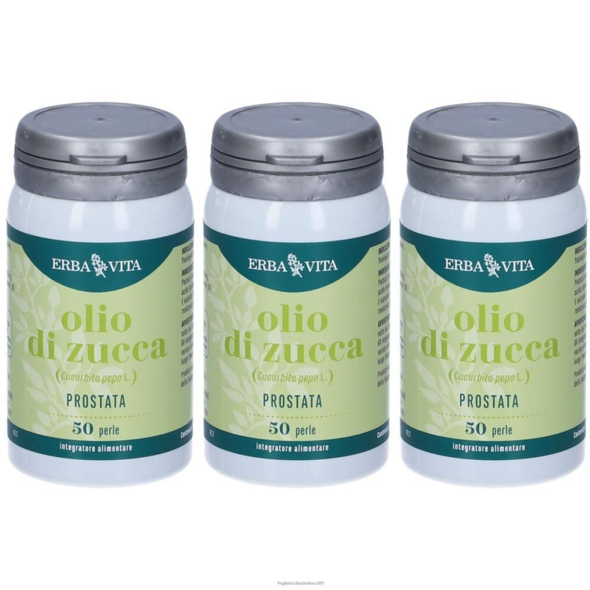 Trova Offerte di zucca semi 50 perle 3x50 pz e compra online