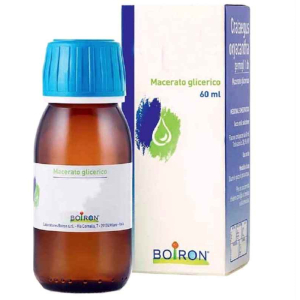 acer campestris gemme 60ml mg bugiardino cod: 900528237 