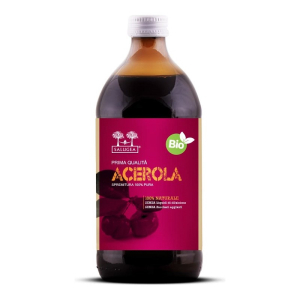 salugea succo acerola bio500ml bugiardino cod: 982000604 