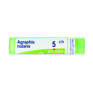 agraphis nutans 5ch 80gr 4g bugiardino cod: 046642031 