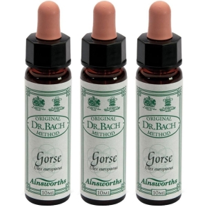 Cerca Offerte di Ainsworths dr.bach n°13 gorse ulex europaeus 3x10 ml e acquista online