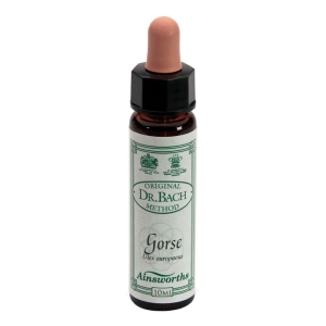 Cerca Offerte di Ainsworths dr.bach n°13 gorse ulex europaeus 4x10 ml e acquista online