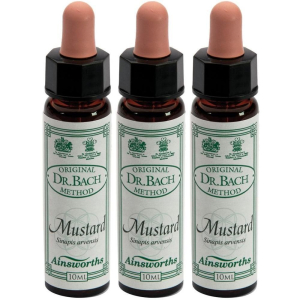 Cerca Offerte di ainsworths dr.bach n°21 mustard sinapis arvensis 3x10 ml e acquista online