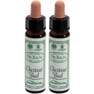 Cerca Offerte di ainsworths dr.bach n°7 chestnut bud aesculus hippocastanum 2x10 ml e acquista online