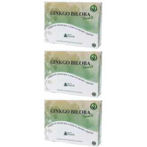 Cerca Offerte di alchemia benoit ginko biloba compresse 3x60 pz e acquista online
