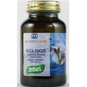 alga fucus 113 compresse bio bugiardino cod: 974990778 