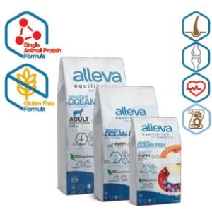Cerca Offerte di alleva equilibrium dog puppy sensitive ocean fish mini/medium kg 5 - p60024 e acquista online