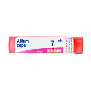 allium cepa 7ch 80gr 4g bugiardino cod: 047591060 