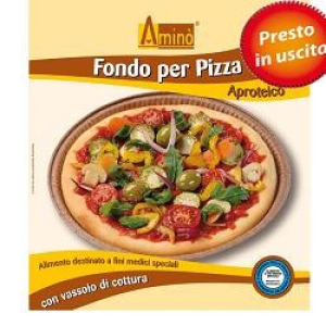 amino fondi pizza aproteica bugiardino cod: 912512922 