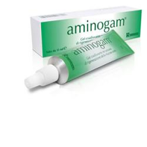 aminogam gel 20 tubetti 5ml bugiardino cod: 905919142 