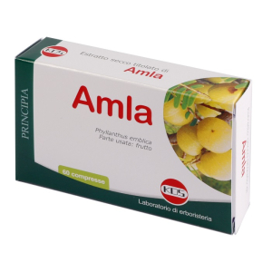 amla estratto secco 60 compresse bugiardino cod: 920040300 