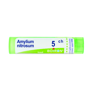 amylium nitrosum 5ch gr bugiardino cod: 801343967 