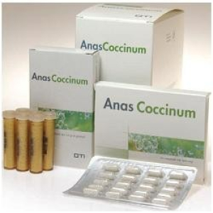 zzz anas coccinum h17 6fiale 2 bugiardino cod: 800420869 