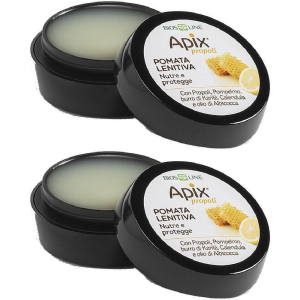 Cerca Offerte di apix propoli pomata lenitiva naso labbra 8 ml biosline 2x8 ml e acquista online