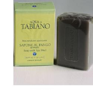 tabiano sapone fango termale 100 g bugiardino cod: 912033851 