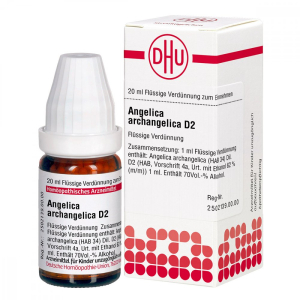 arcangelica d2 dil 20ml wel bugiardino cod: 800075350 