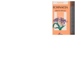 arkocps echinacea 45 capsule bio bugiardino cod: 980513701 
