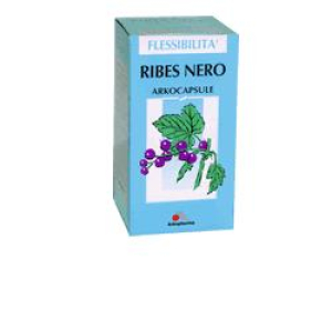 arkocps ribes nero 45 capsule bio bugiardino cod: 980258469 